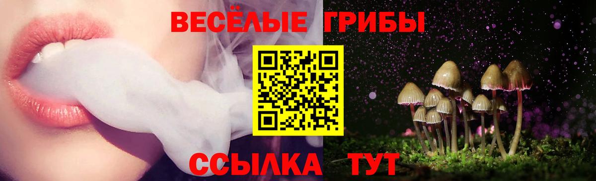 Екатеринбург  Галлюциногенные грибы Psilocybine cubensis  Вход с VPN  Галлюциногенные грибы мухоморы 